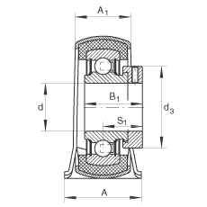 ֱʽSԪ RPB17, 䓰SƫiȦzr|SP ܷ
